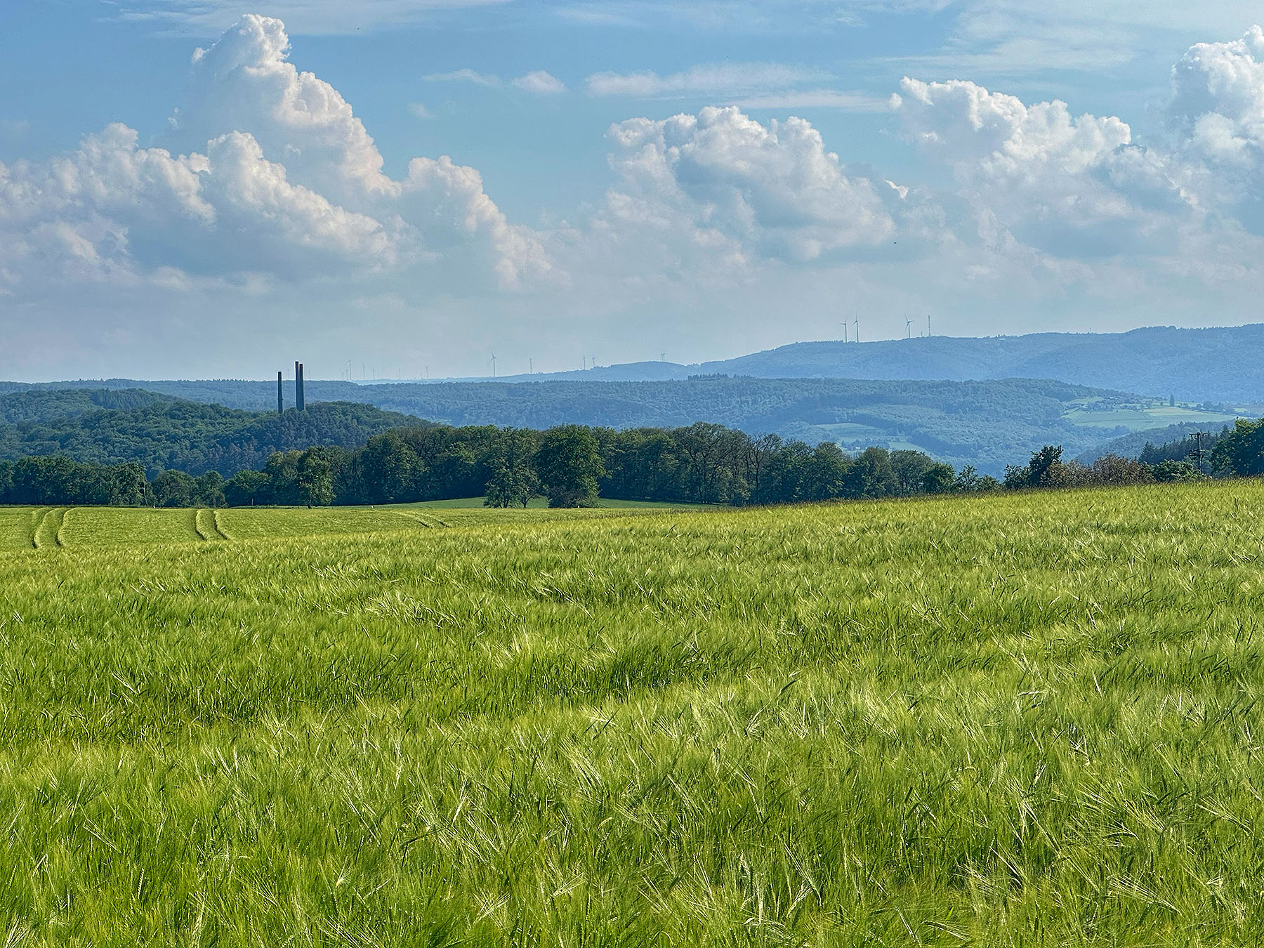 Panoramaweg Braubach