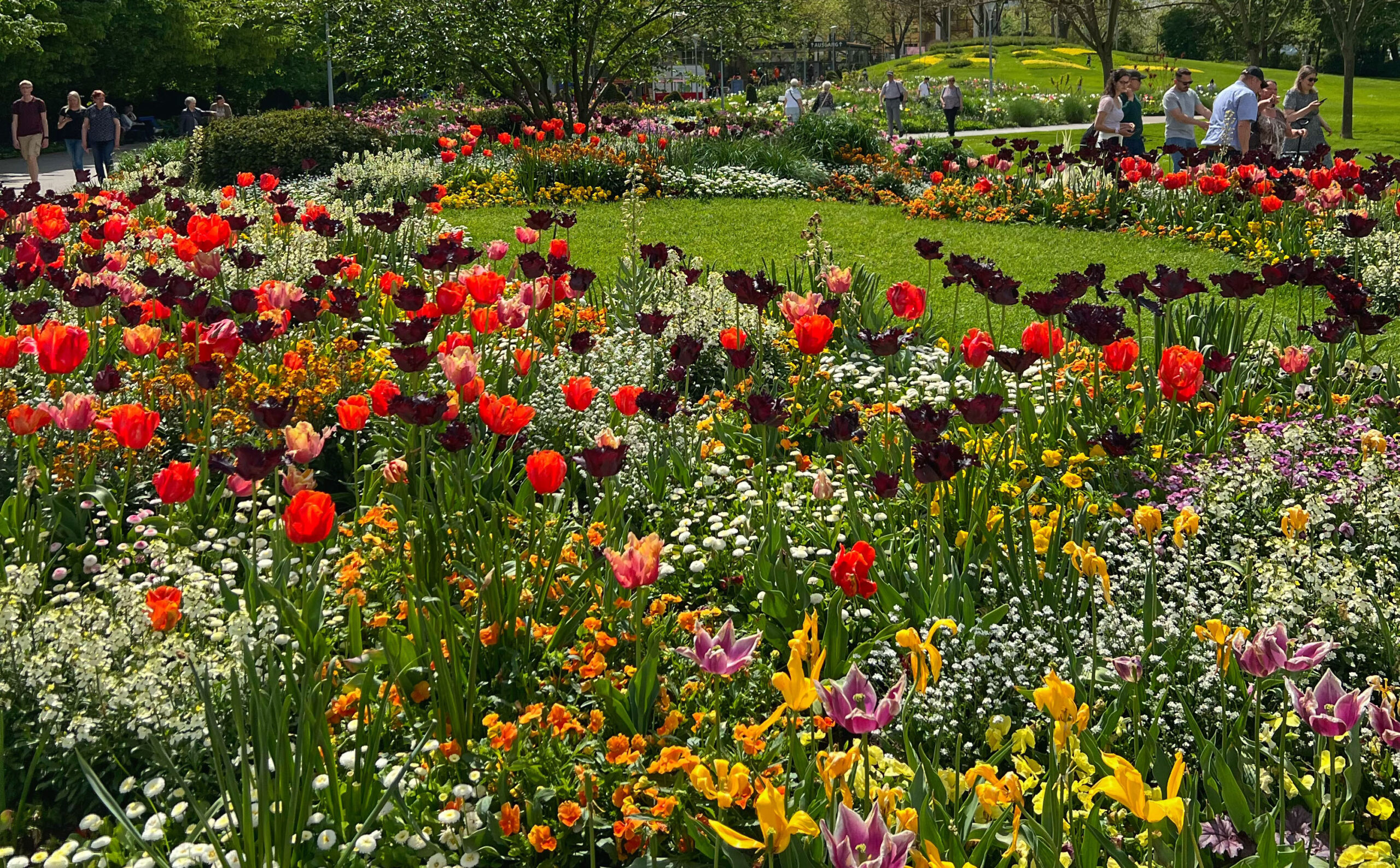 Blumenmeer auf einer Bundesgartenschau