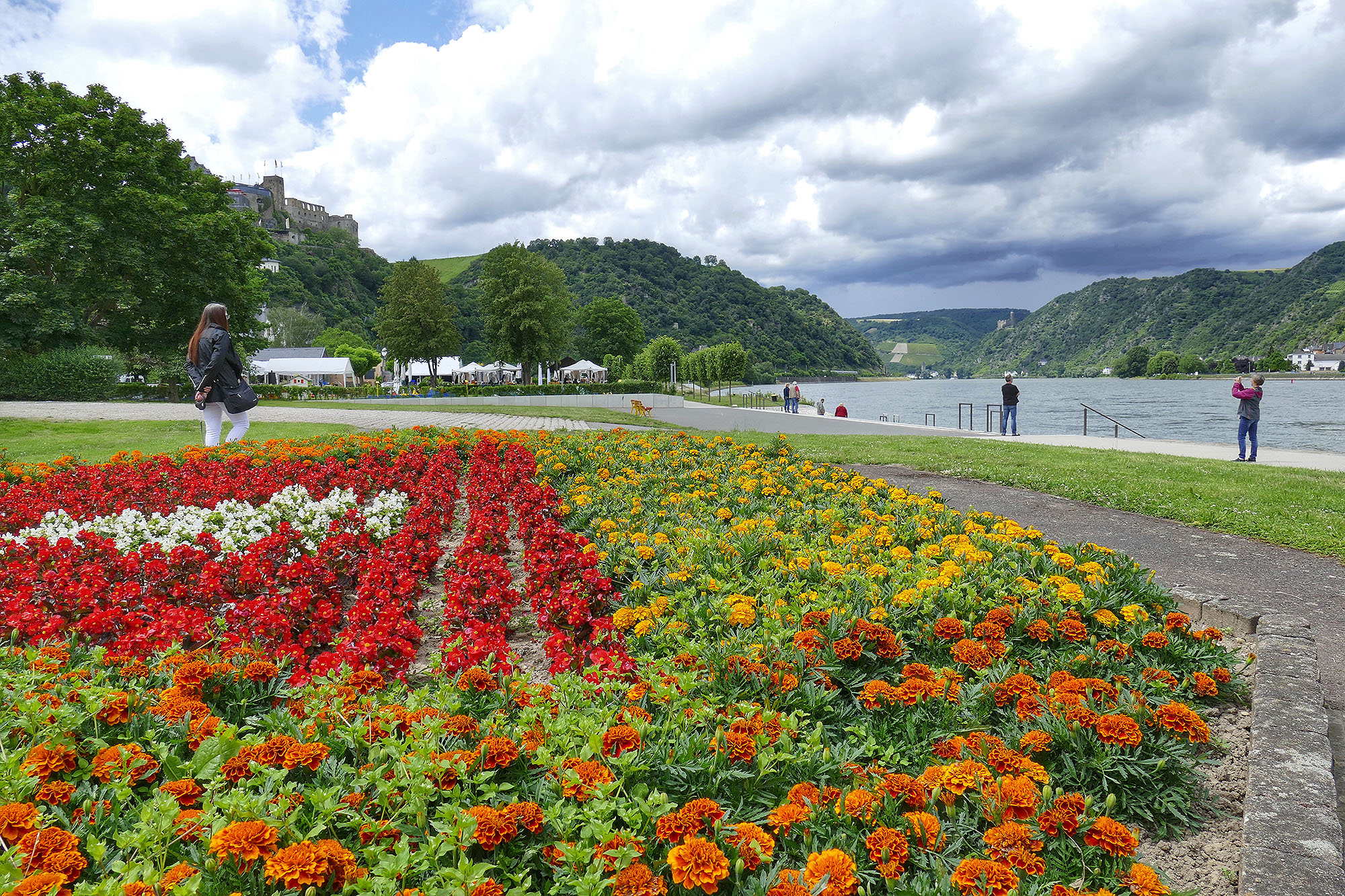 Blumen in St. Goar