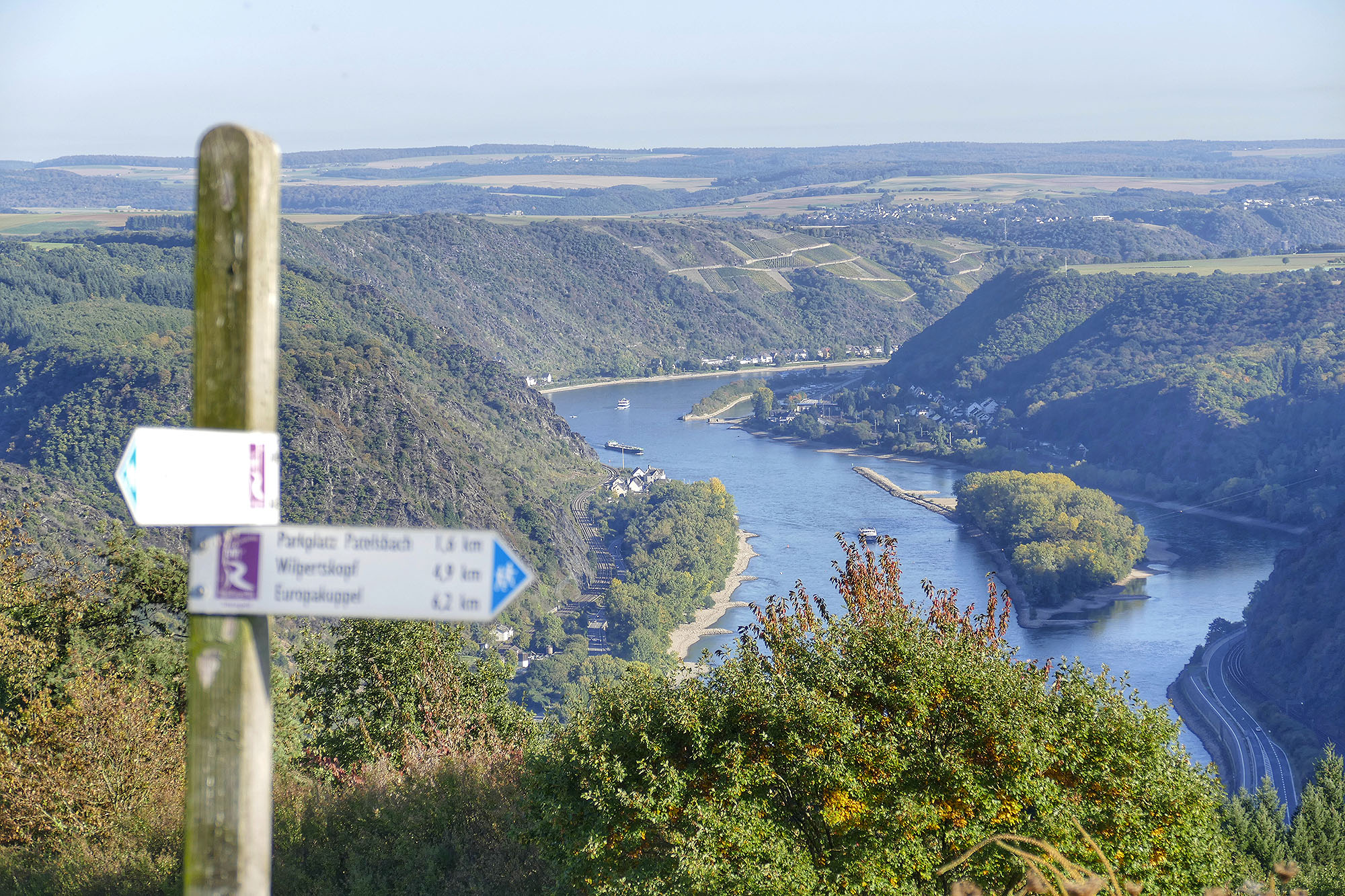 Wegweiser Traumschleife Rheingold