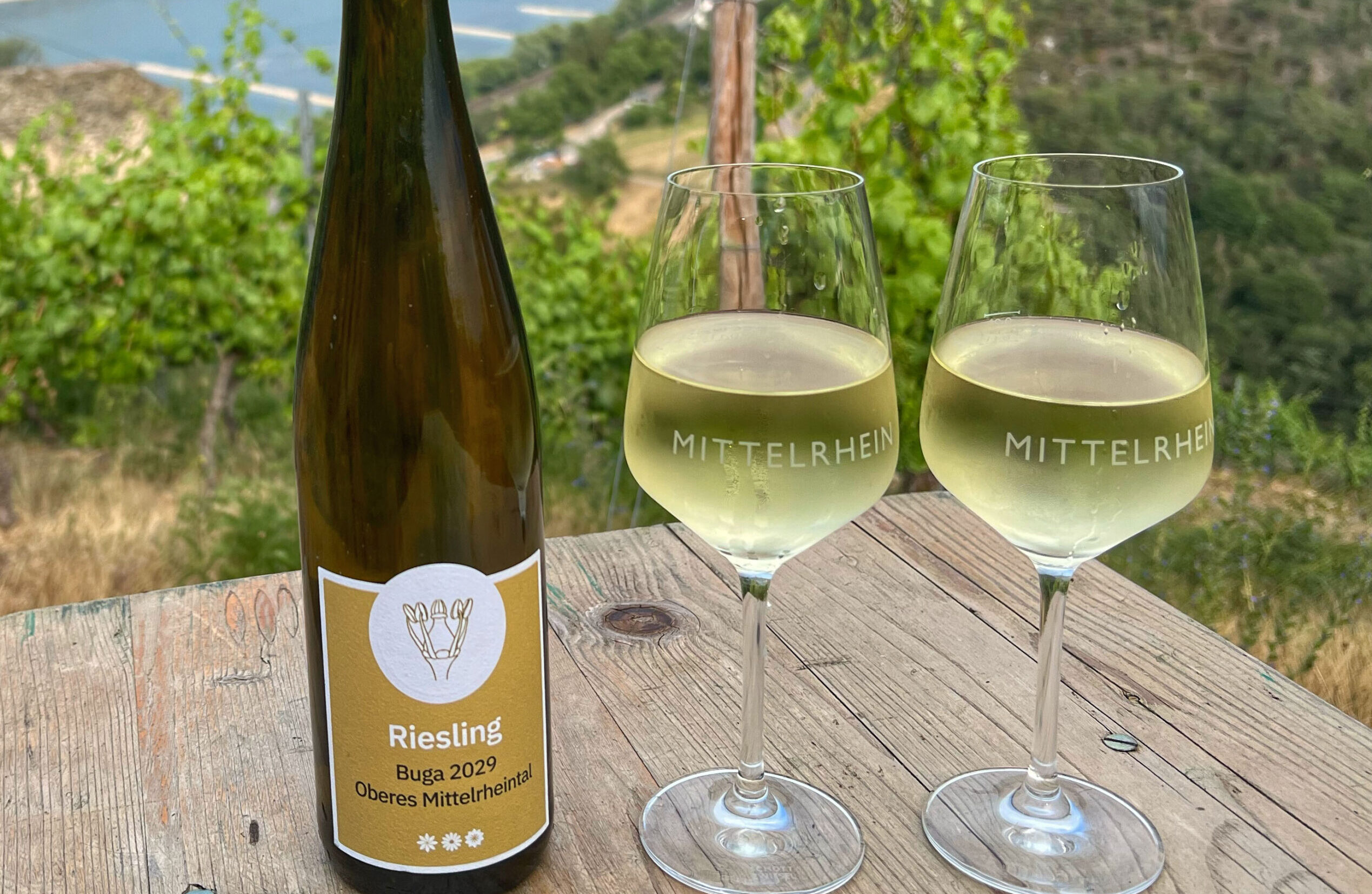 sliderimage-Unseren Premieren-Wein, den 2021er Fürstenberger Riesling, haben wie noch auf Lager. 